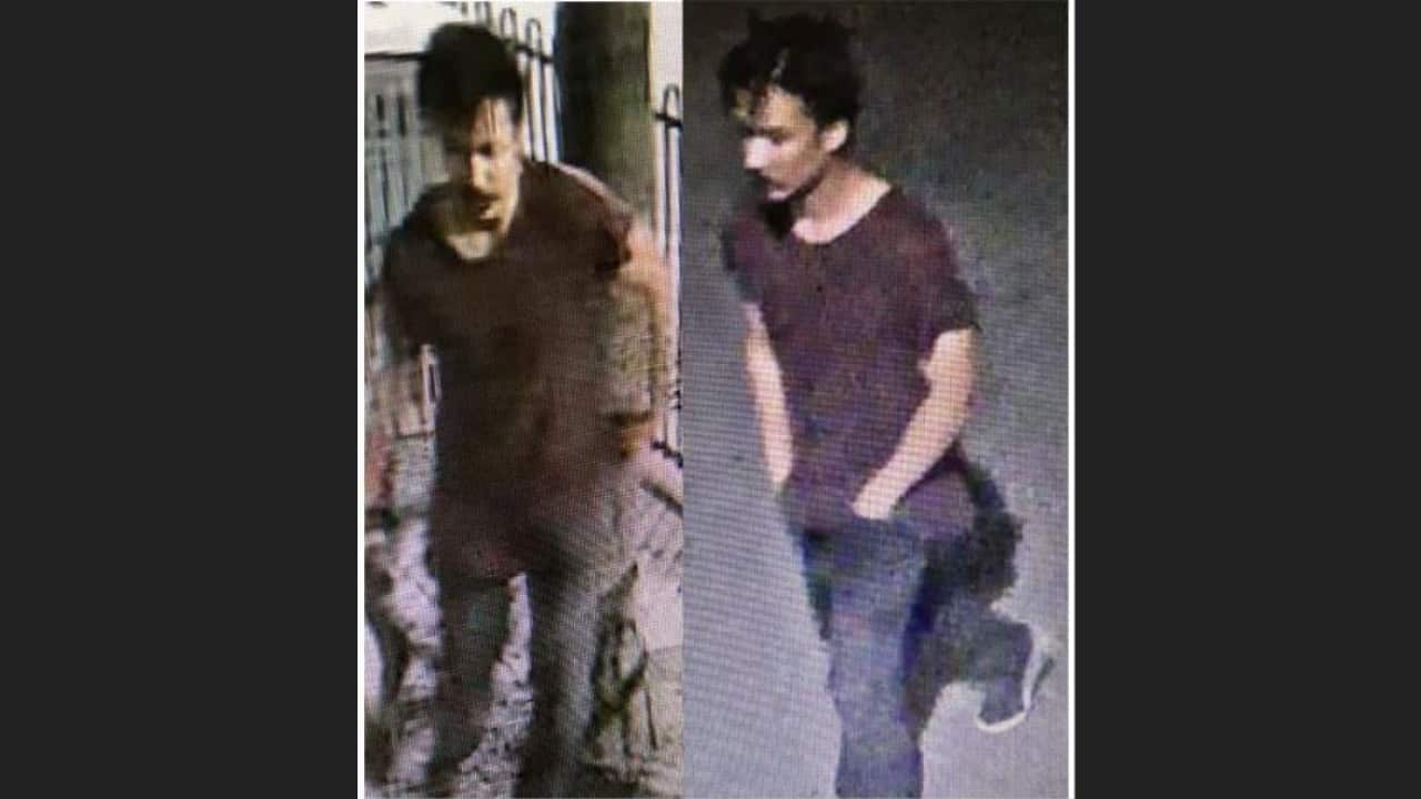 witness appeal footage