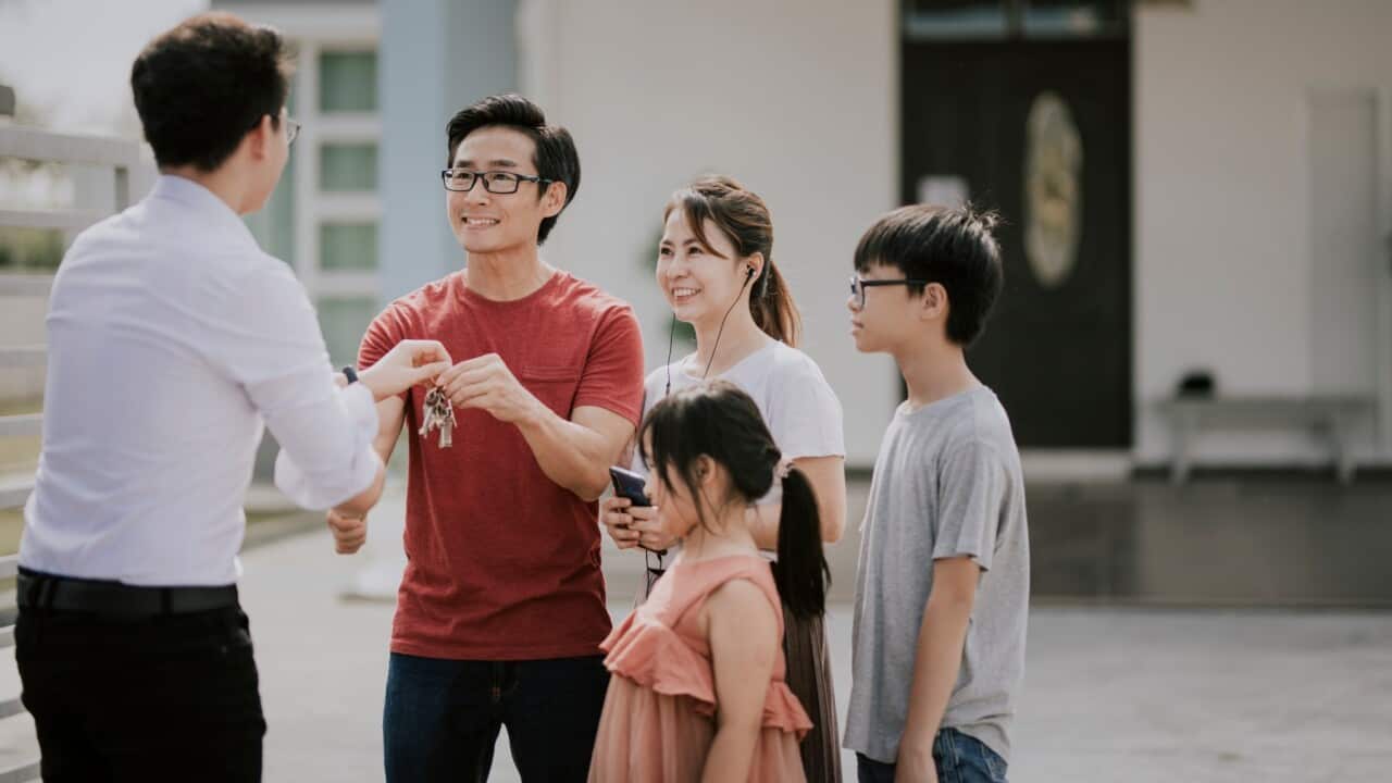 Image for read more article 'READ MORE'