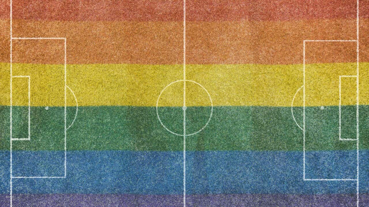 Aerial view of a grass soccer field without people and with painted white lines, with the lgtb rainbow flag painted on the grass. Soccer, match, gay, lesbian, sports, world cup and training camp.
