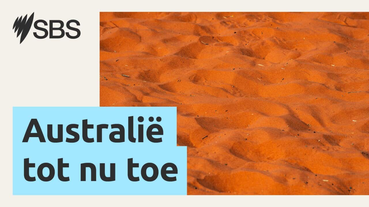 Image for read more article 'MORE EPISODES'