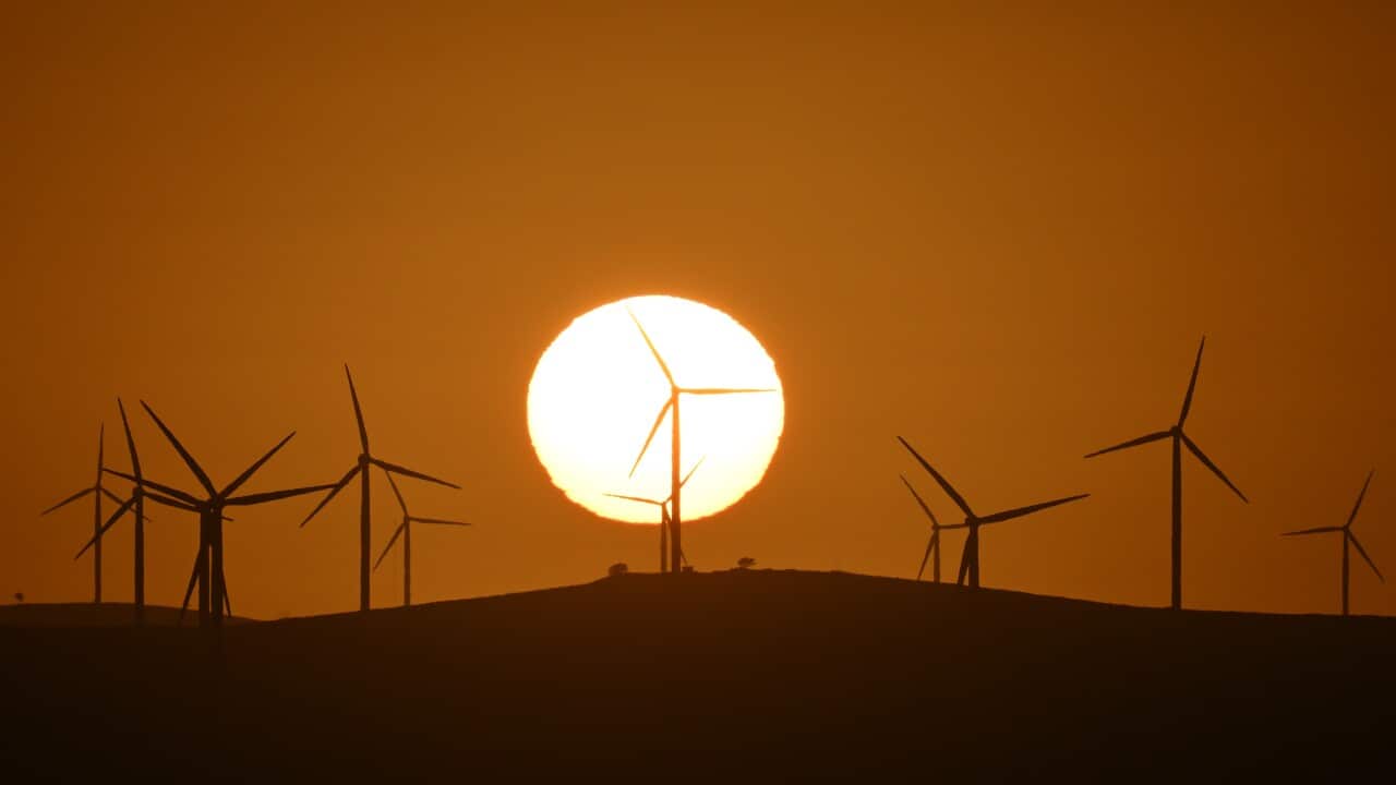 RENEWABLE ENERGY STOCK