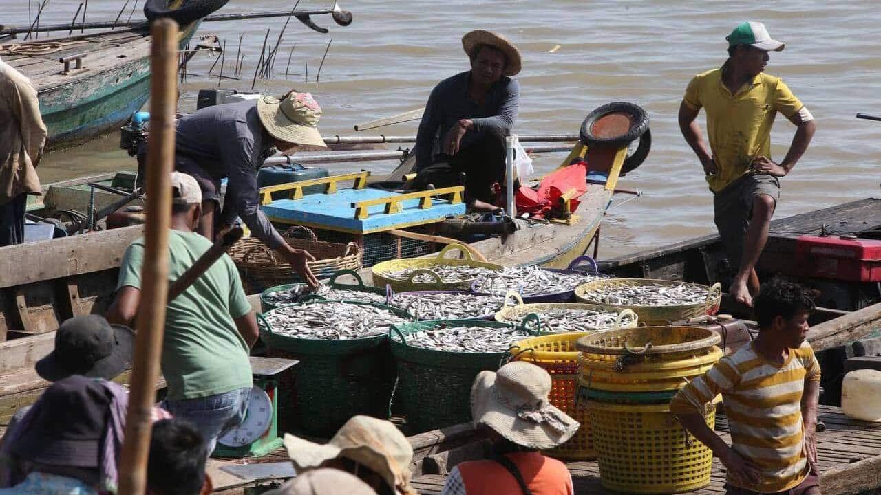 Cambodia fishing.jpg