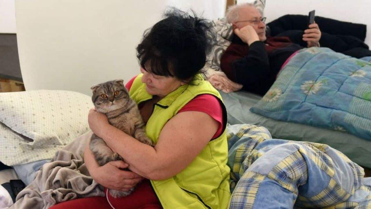 The UN estimates that about eight million people are displaced inside Ukraine.