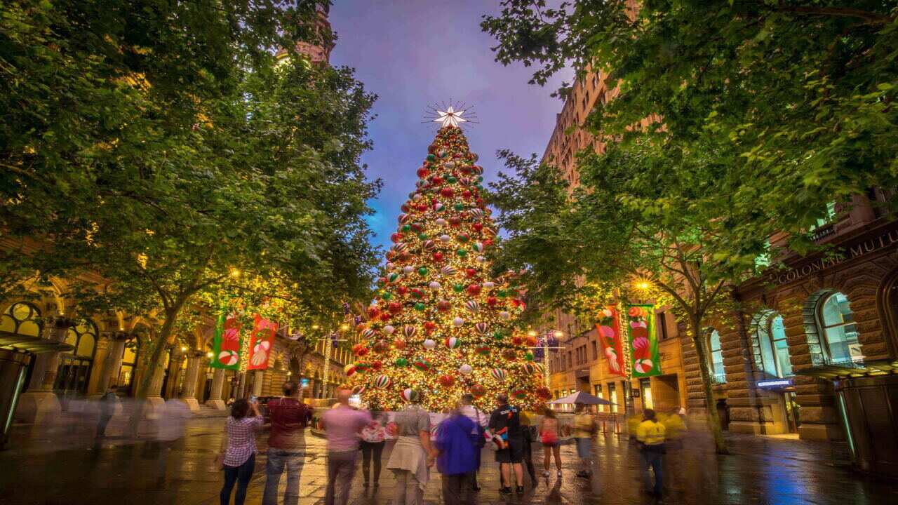 Sydney city council, Christmas tree, 2018