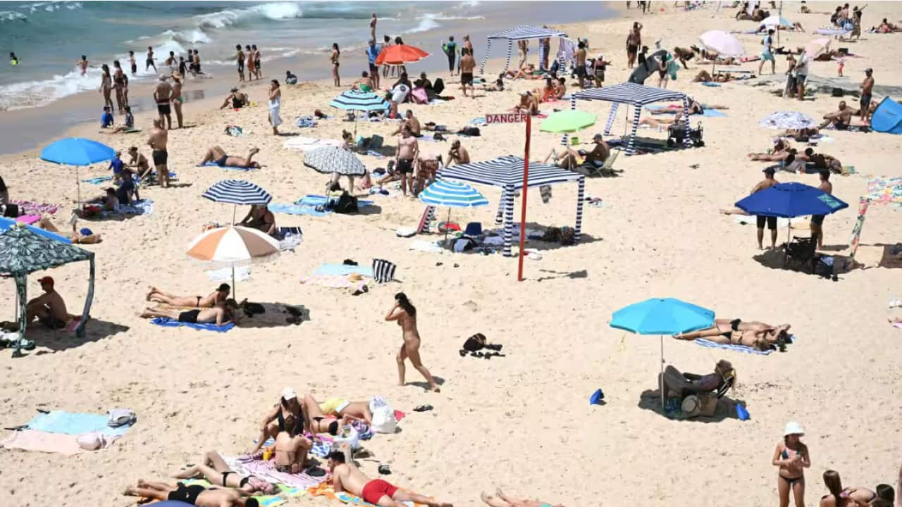 beach.png