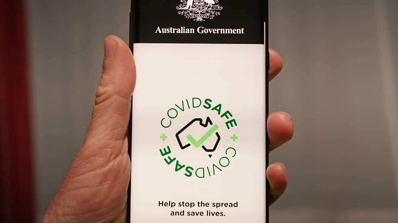 AAP Image/Scott Barbour