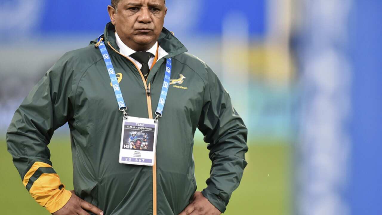 South Africa coach Allister Coetzee