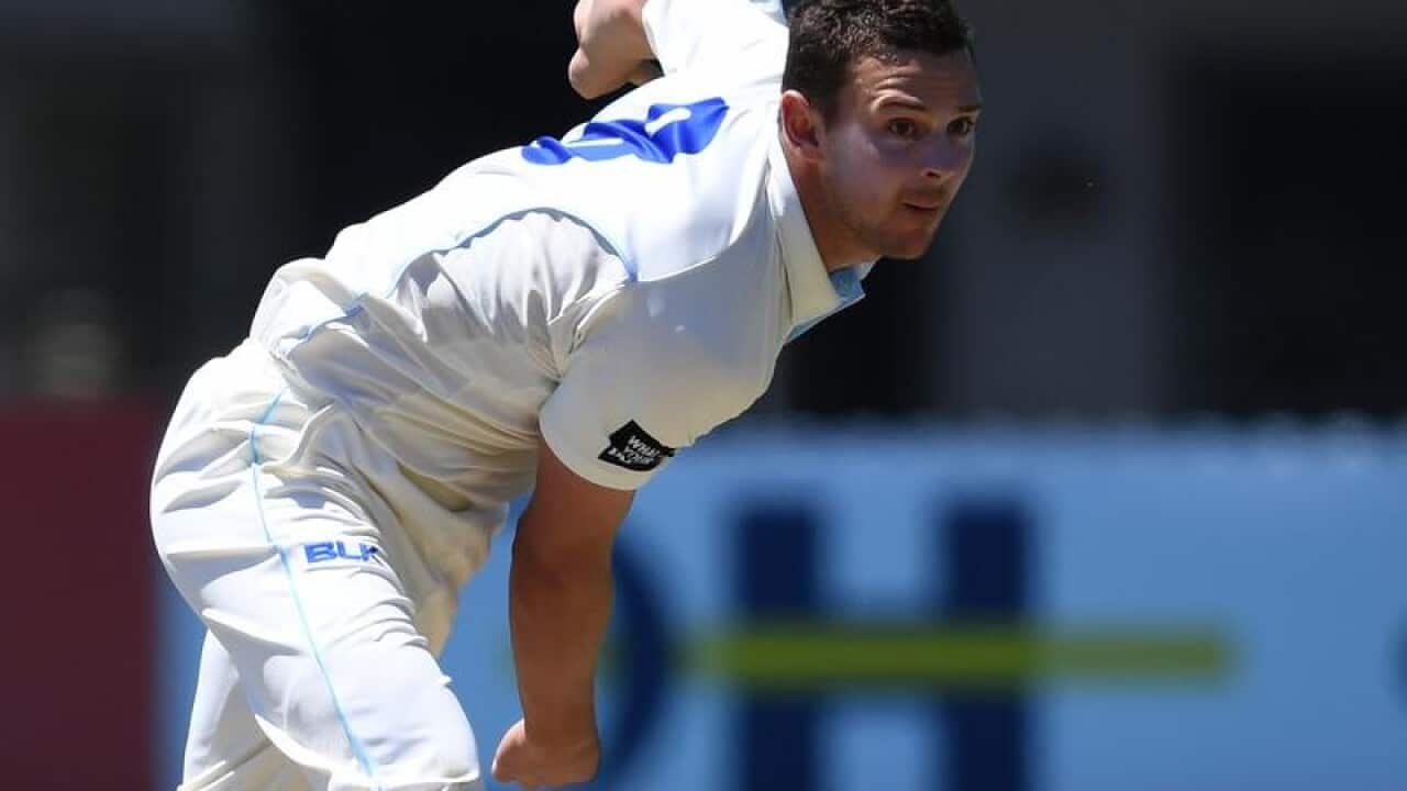 Josh Hazlewood bowls