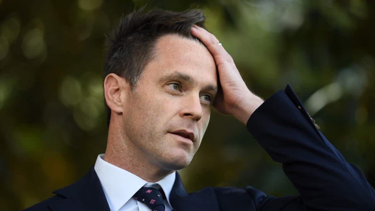 NSW Labor MP Chris Minns.