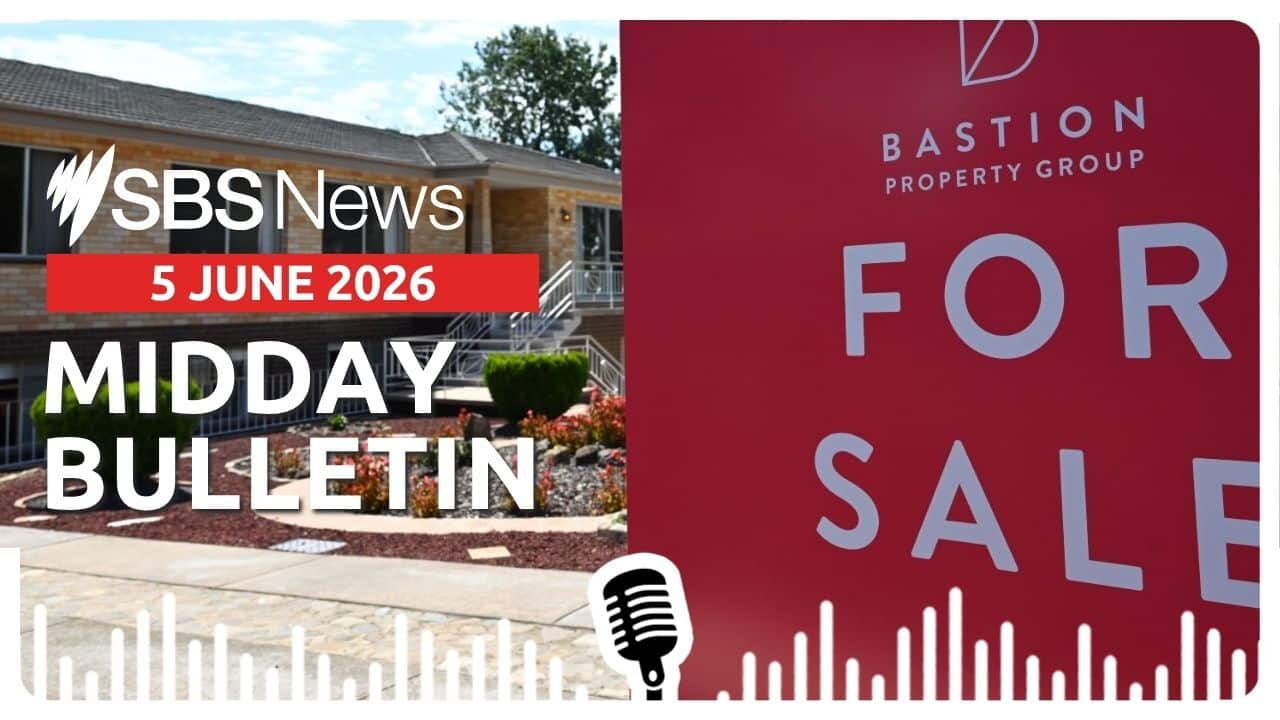 Midday News Bulletin image 5 June 2026.jpg