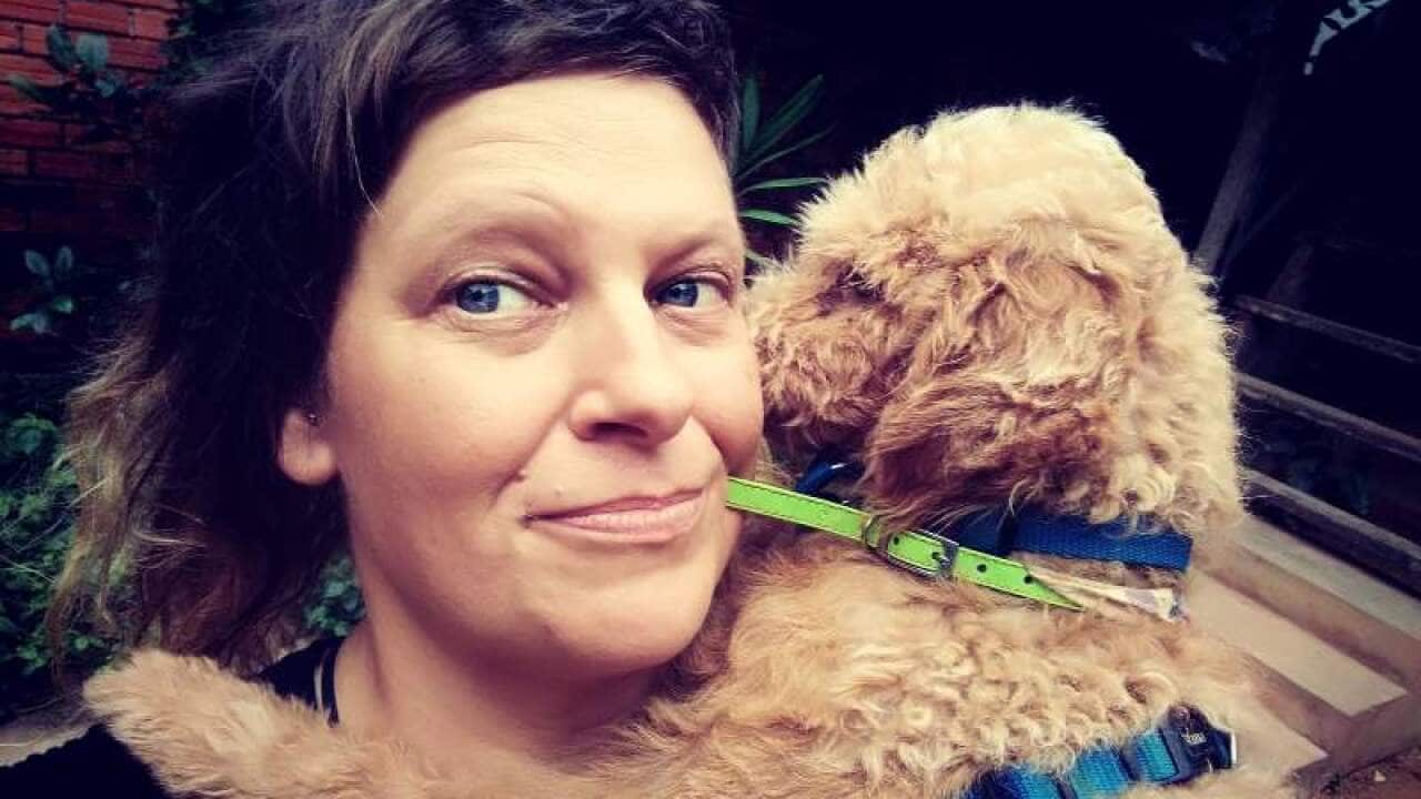 Hunde Katzen Tierheim Kambodscha Tierpflege