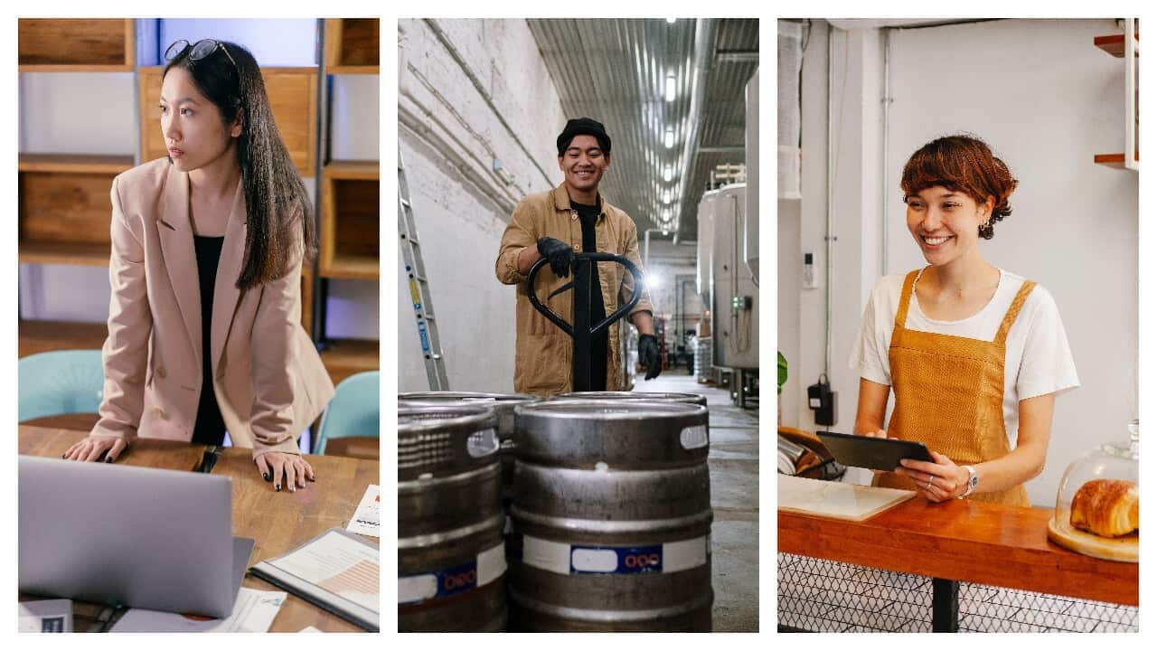 WORK EMPLOYMENT TERMS.jpg