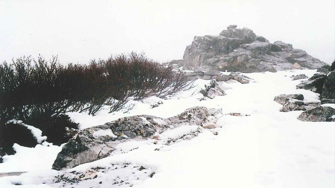 Image for read more article 'Δείτε ακόμη'