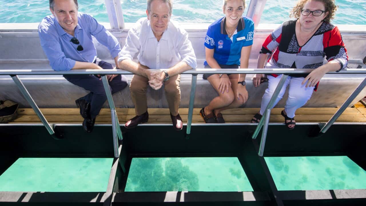 Bill Shorten during a glass bottom boat ride in Green Island