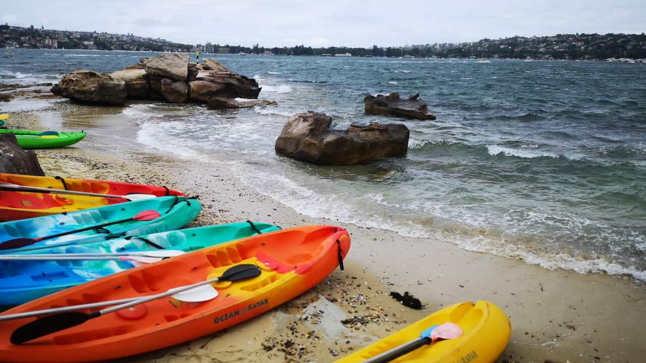 Shark Island