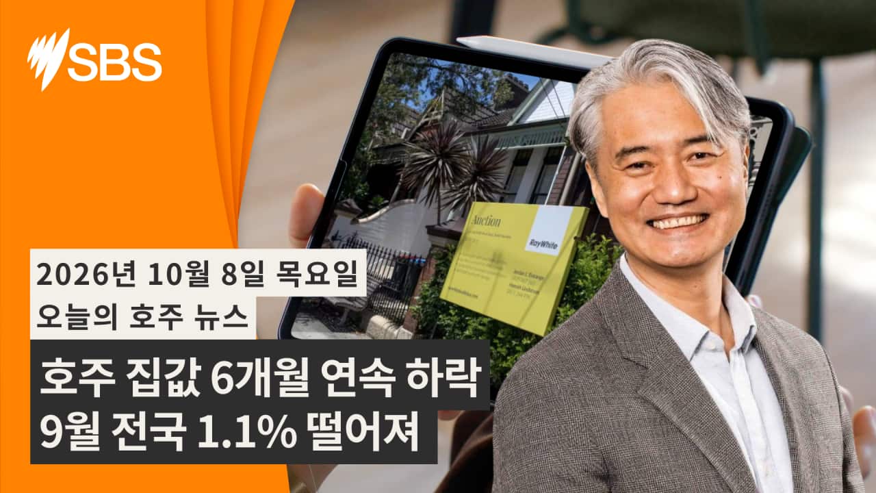 Video Newsflash (19).png