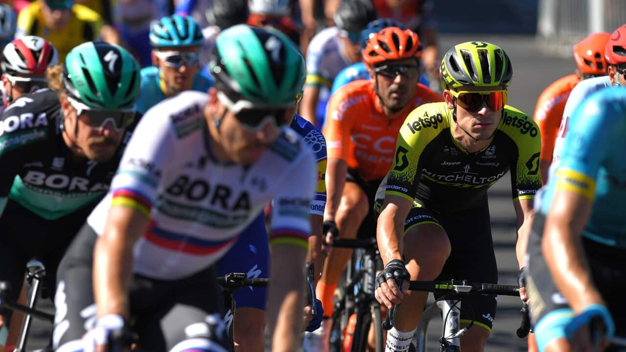 Alexander Edmondson, Mitchelton-Scott, UCI WorldTour