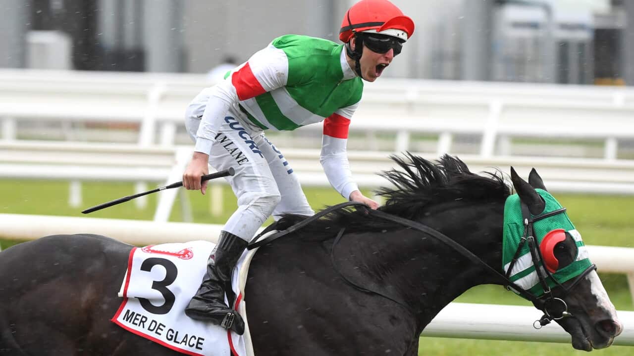 日本馬が優勝！コーフィールドカップ2019 | SBS Japanese