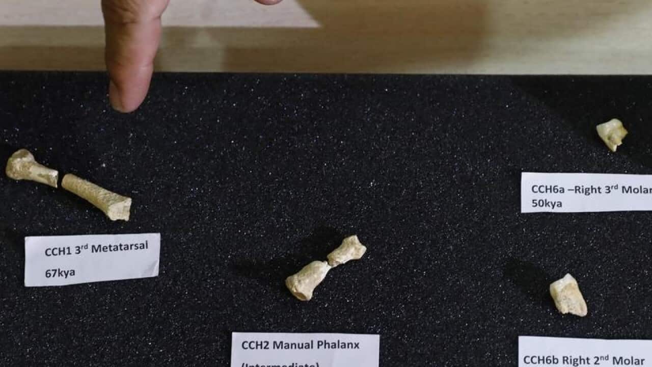 PHILIPPINES FOSSILS