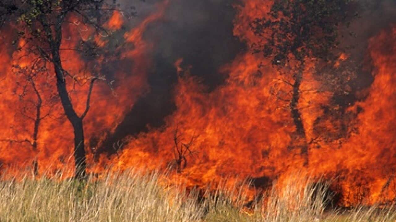 Image for read more article ''