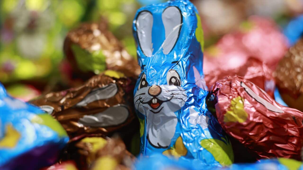 Chocolate easter rabbits.