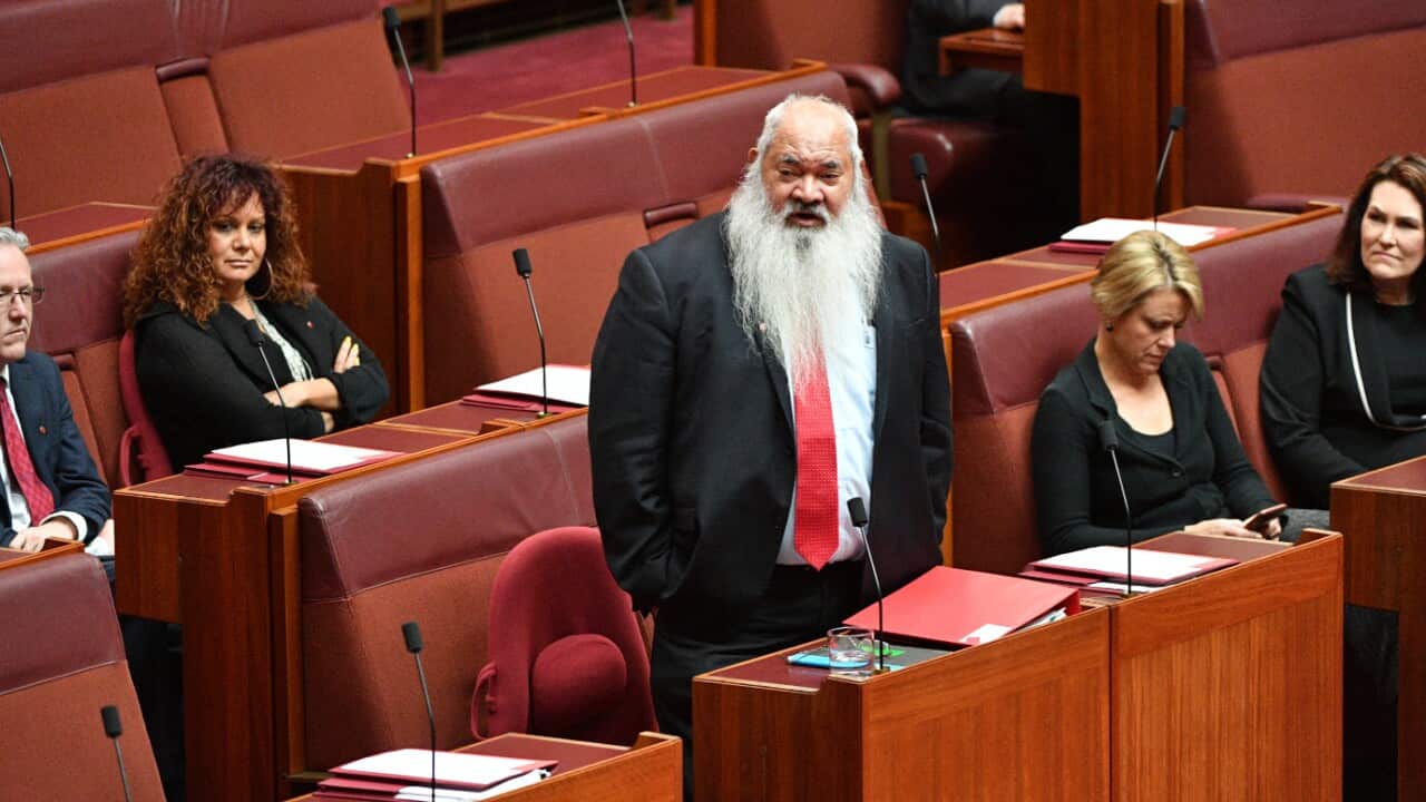 Pat Dodson