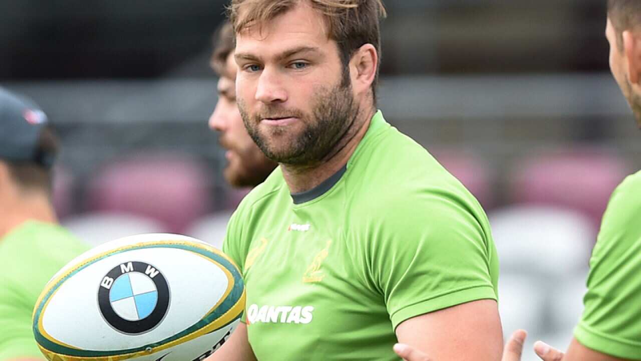 Wallabies back-rower Ben McCalman