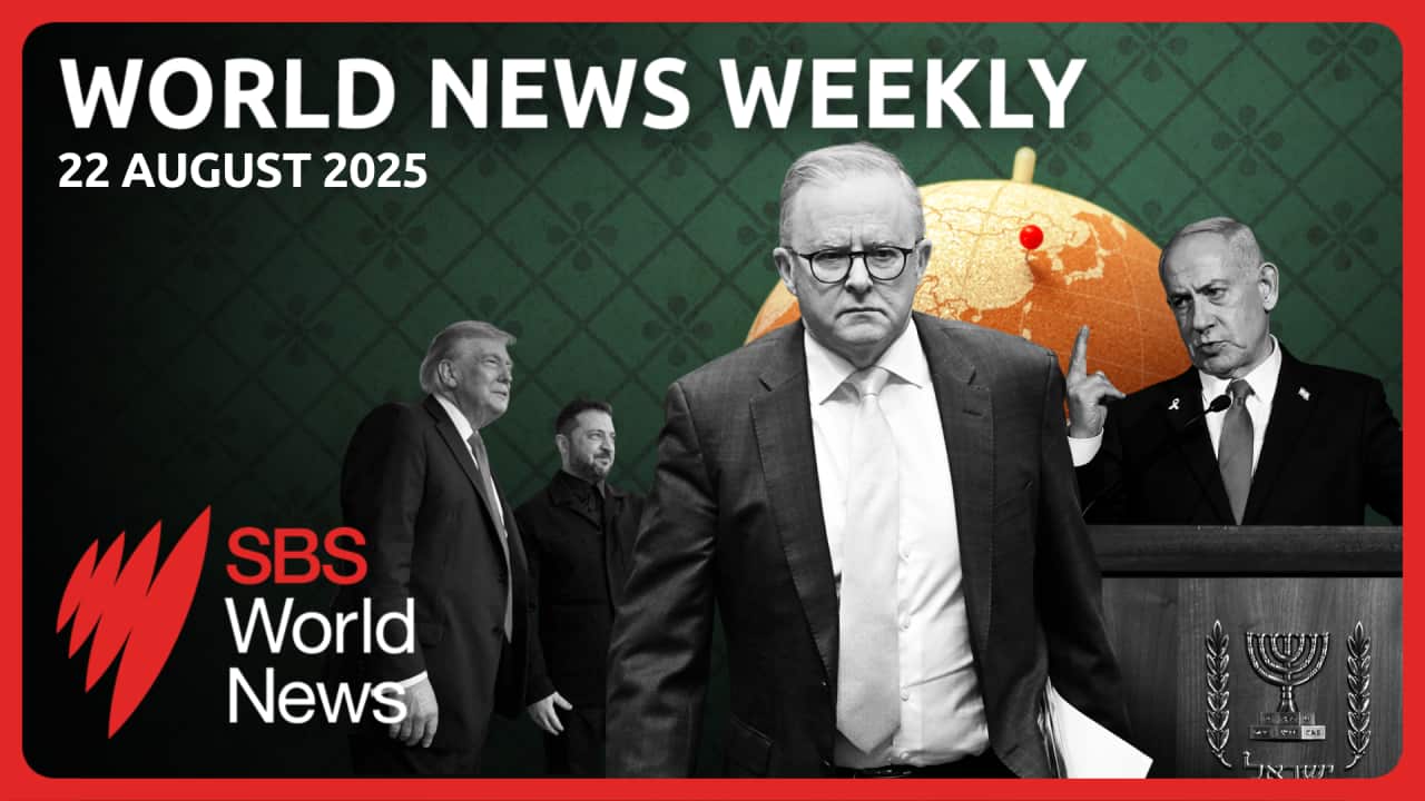 WNW 220826 Thumbnail.png