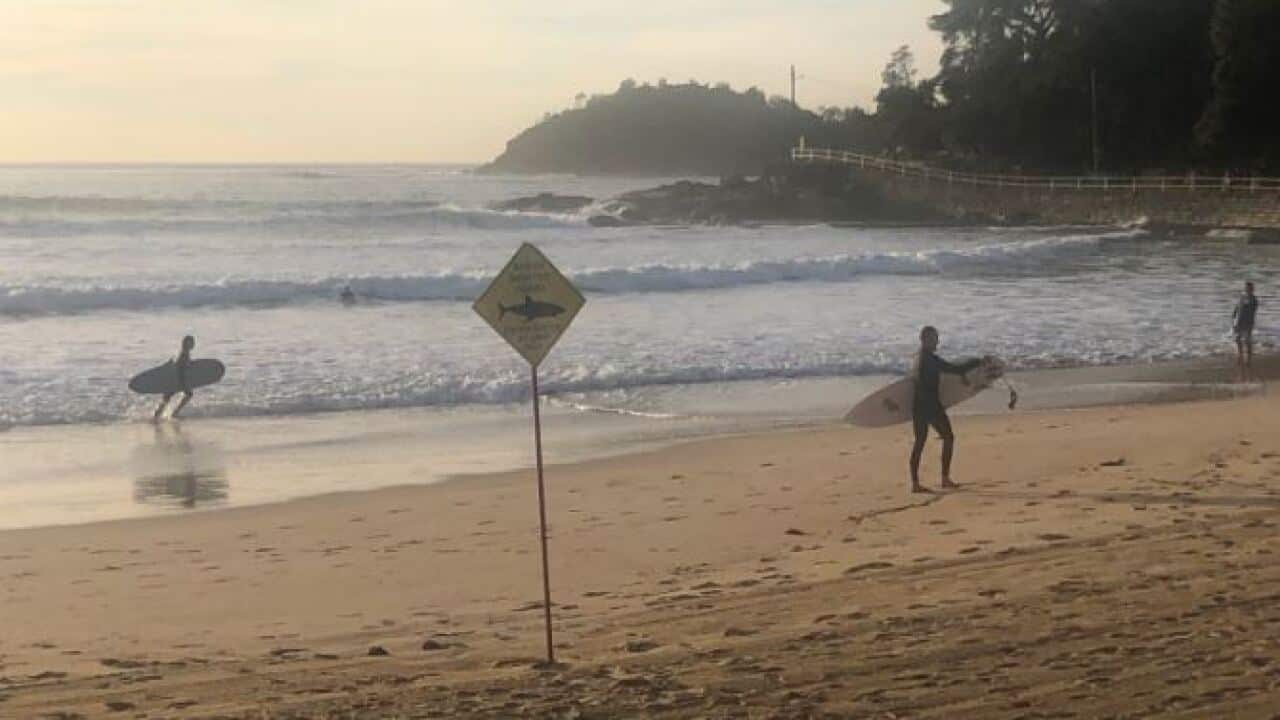 Manly Beach has been closed.