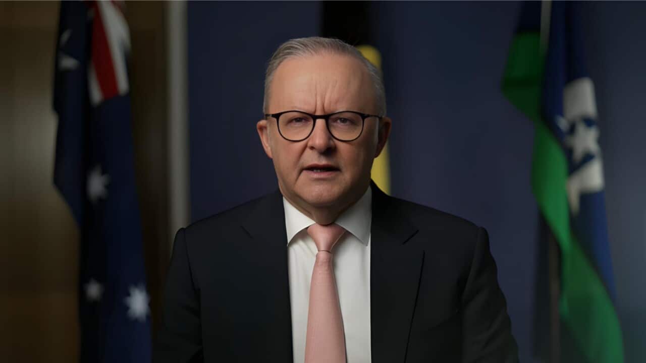Anthony Albanese speaking to SBS (SBS).jpg