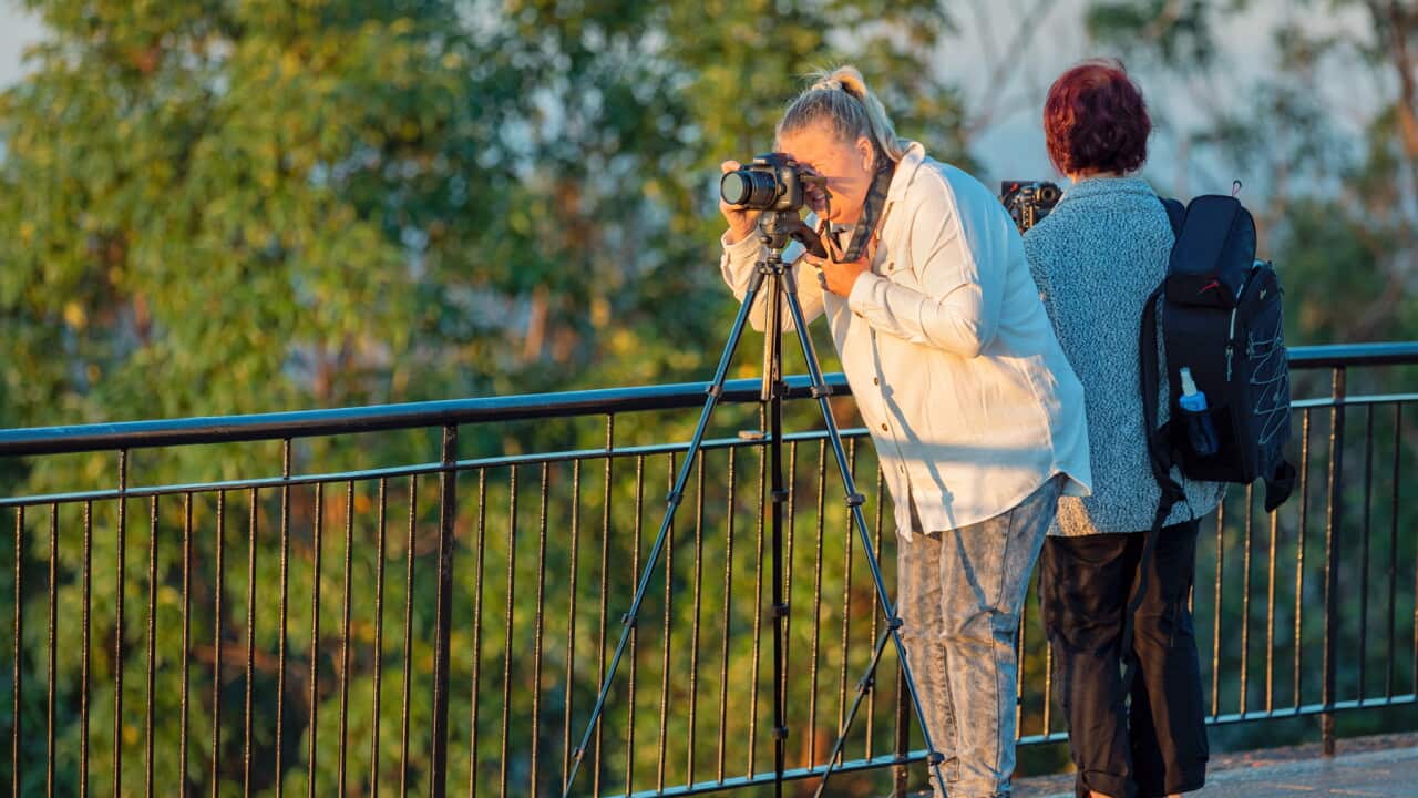 Woman taking photograph.jpg