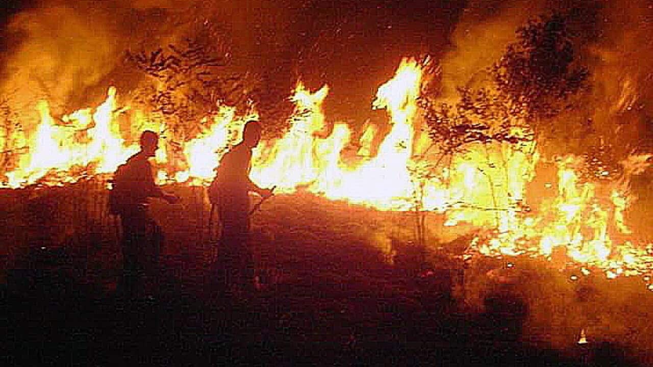 Firefighters trying to extinguish a fire in the Amazon rainforest last August.