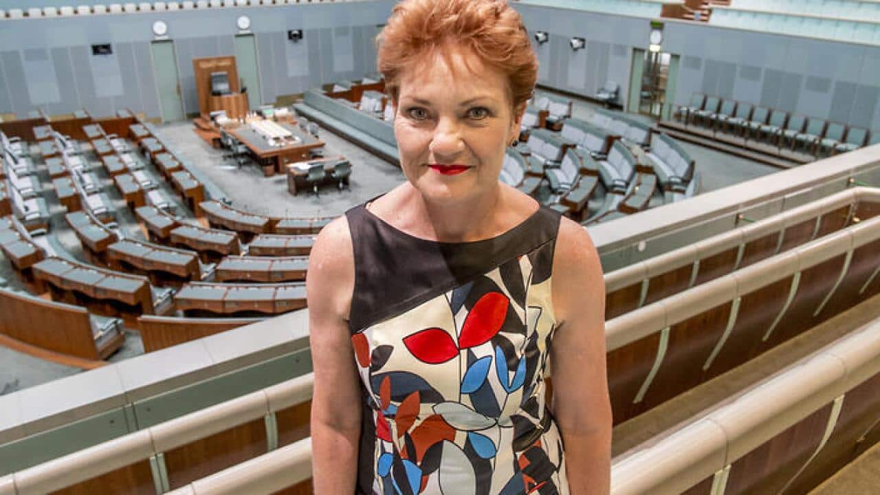 Paulin Hanson One nation party leader