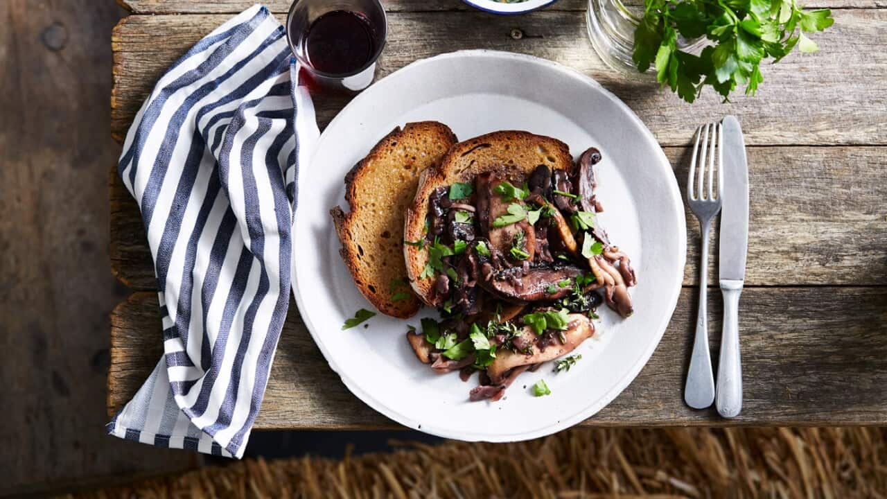 Pan-fried mushrooms in red wine