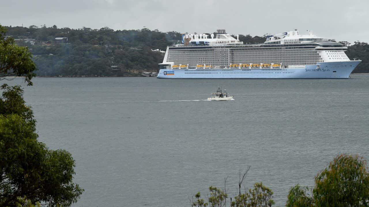 The Spectrum of the Seas cruise ship, operated by Royal Caribbean, as seen in Sydney Harbour.