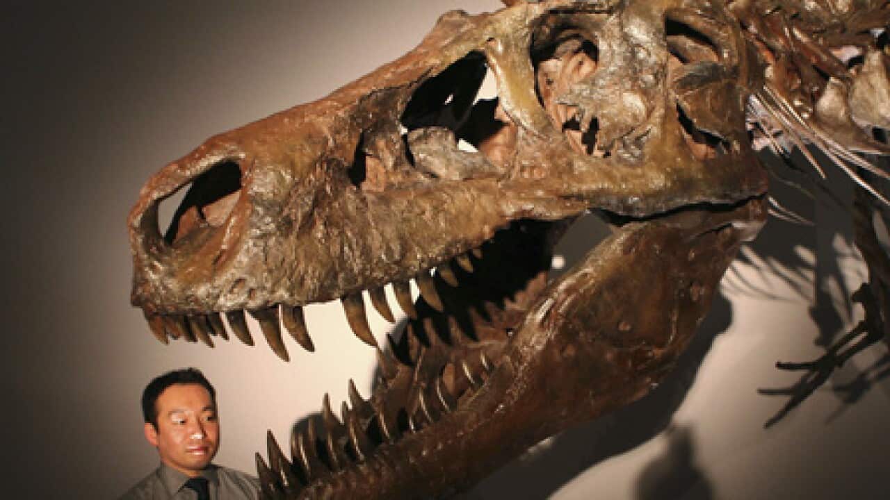 T-Rex_1703_B_getty_1845888191