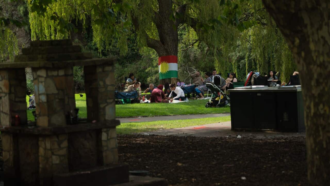 Image for read more article 'NEVRUZ'