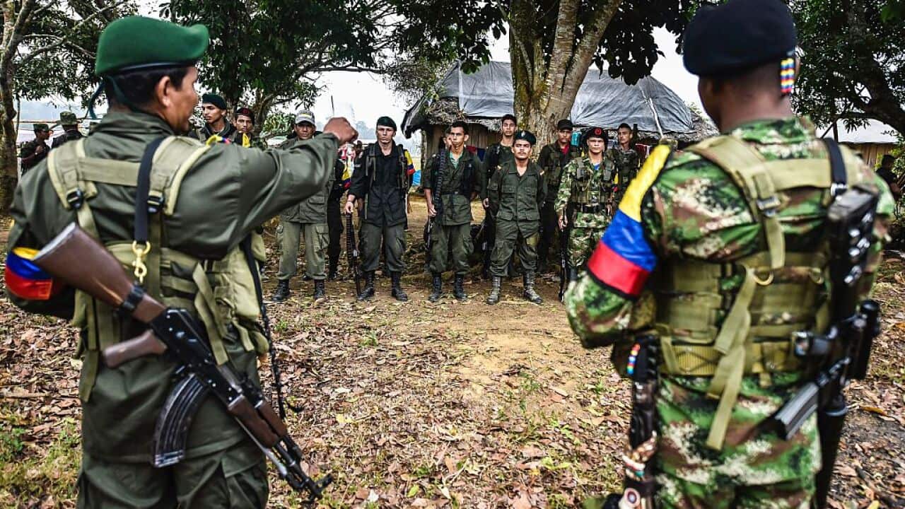 Revolutionary Armed Forces of Colombia (FARC) members stand in formation at a camp in the Magdalena Medio region, Colombia on February 18, 2016.