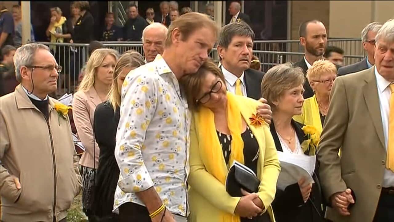 Brain injuries from domestic violence.