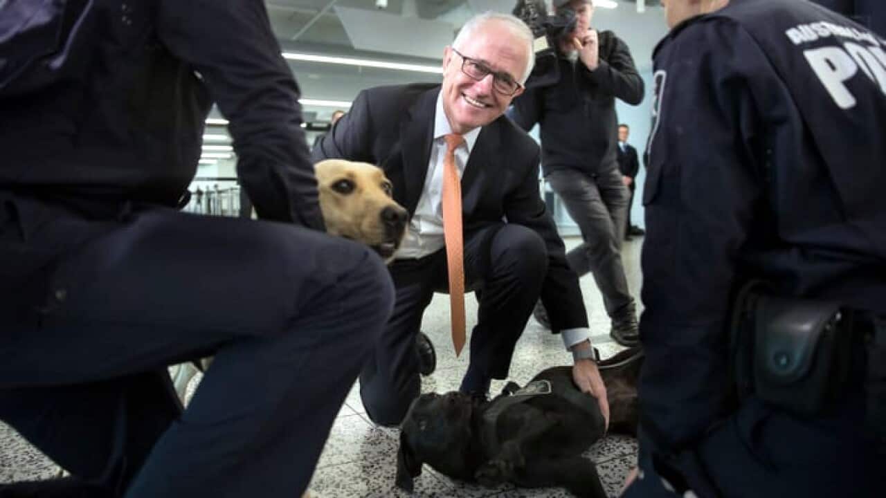 Image for read more article ''