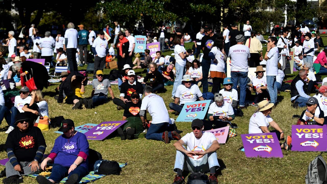 YES 23 VOICE CAMPAIGN SYDNEY