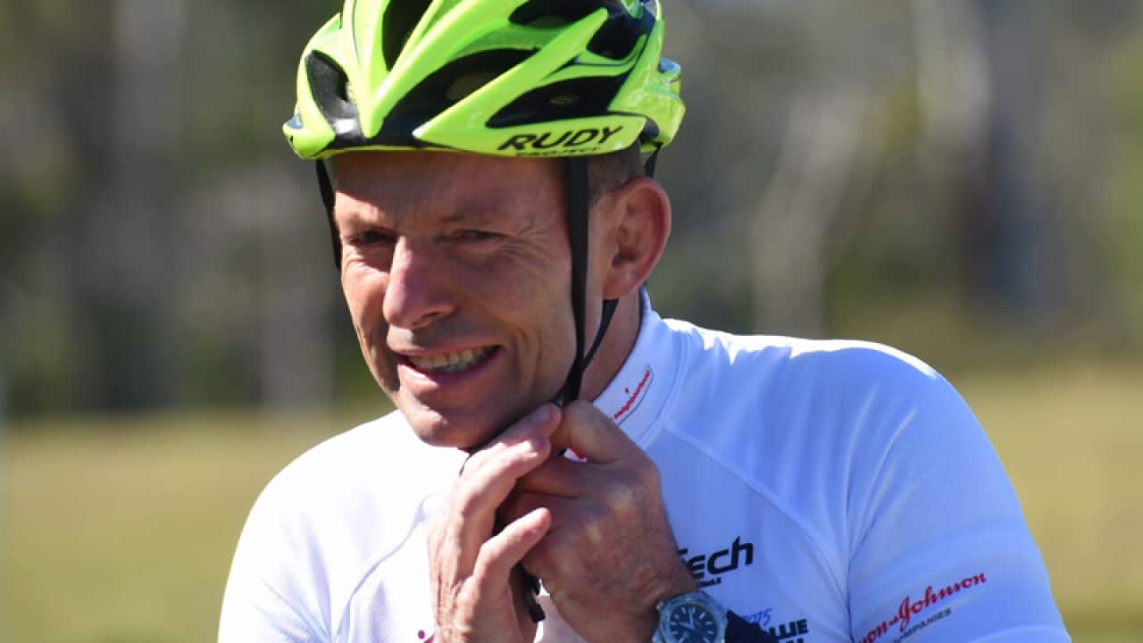 Tony Abbott