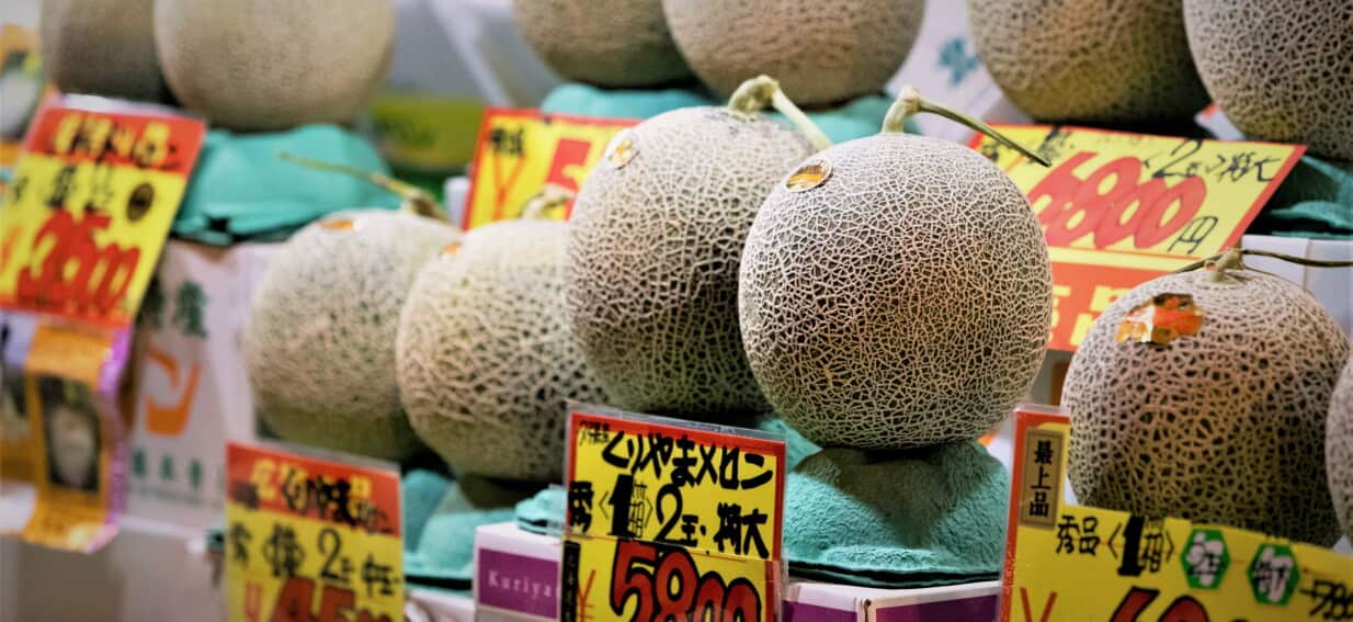 Japanese melon gift becomes focal point of Albanese podcast controversy