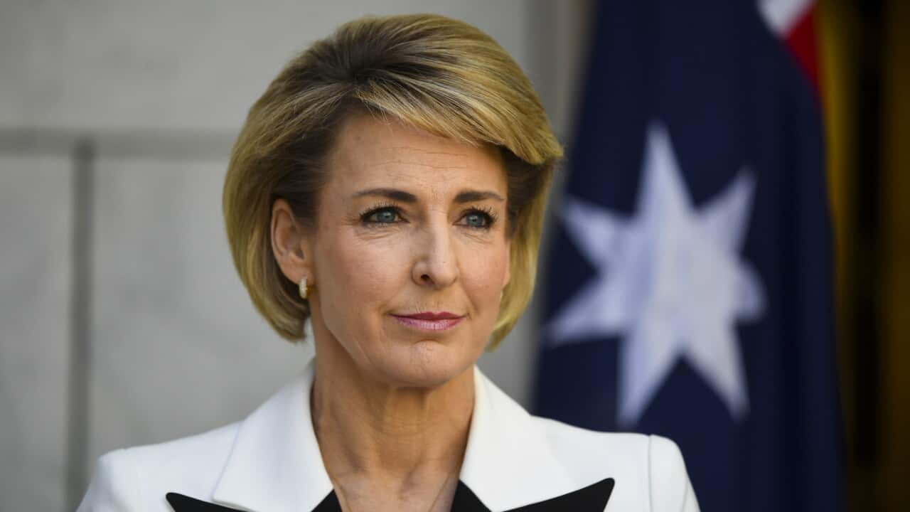 Australian Employment Minister Michaelia Cash speaks to the media during a press conference at Parliament House in Canberra, Thursday, July 16, 2020. (AAP Image/Lukas Coch) NO ARCHIVING