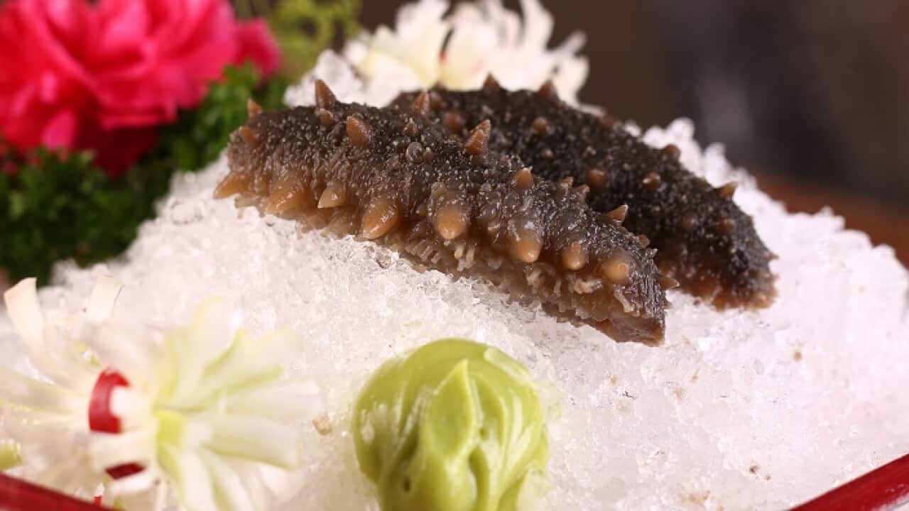 Fresh sea cucumber
