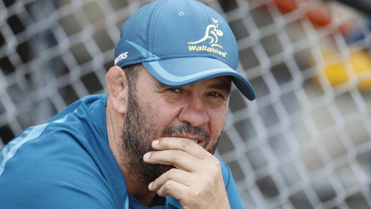 Wallabies coach Michael Cheika
