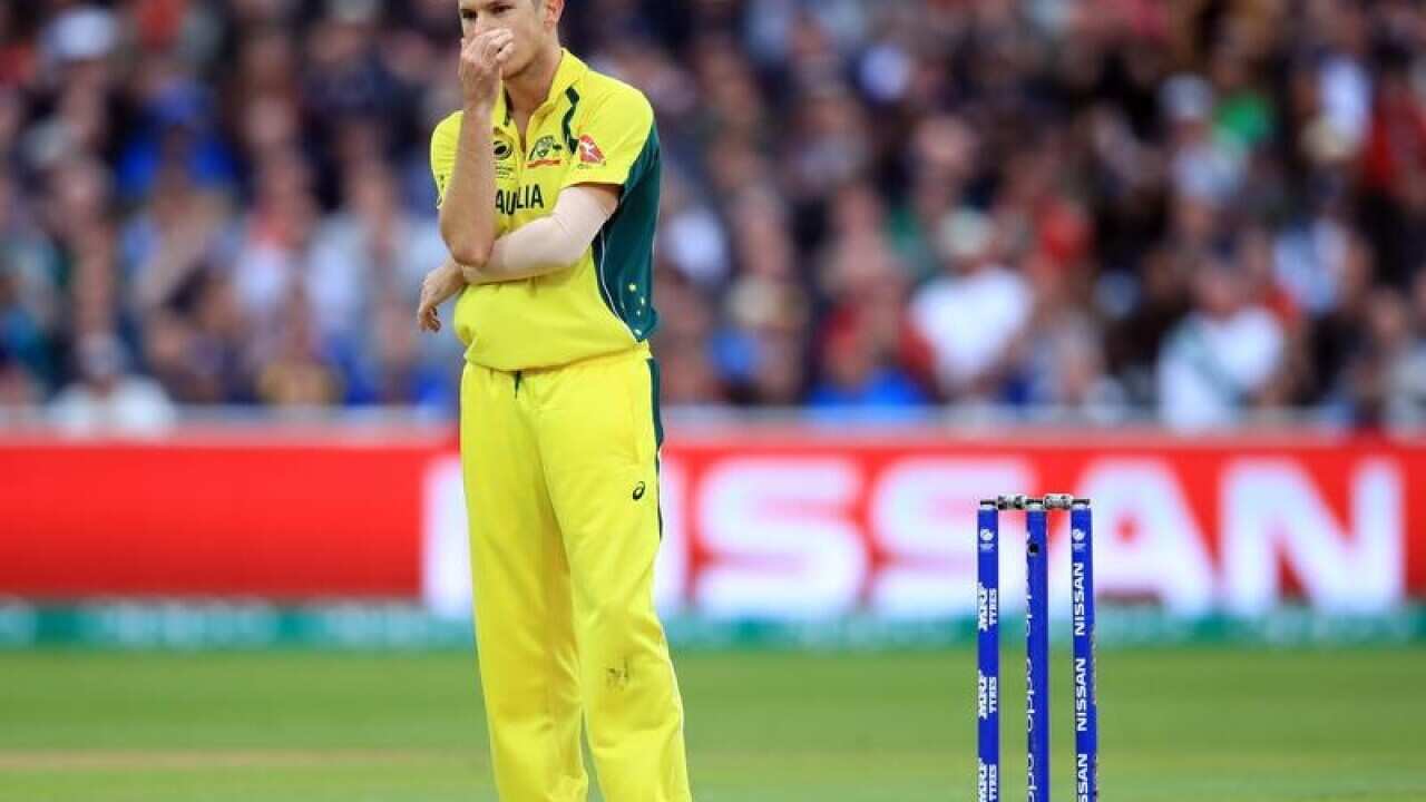 cricket