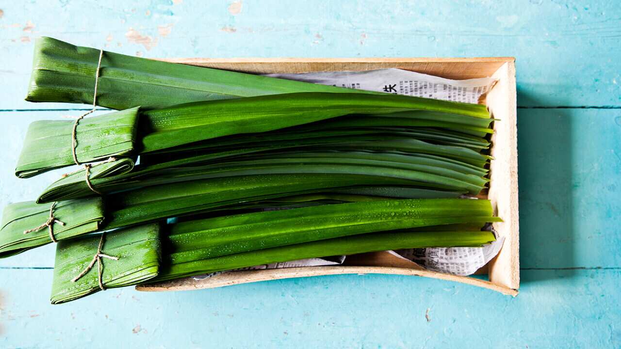 Splints Pandan 10 ways with pandan | SBS Food