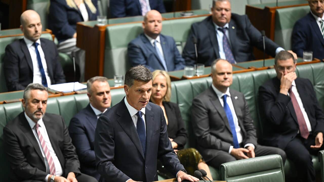ANGUS TAYLOR BUDGET REPLY