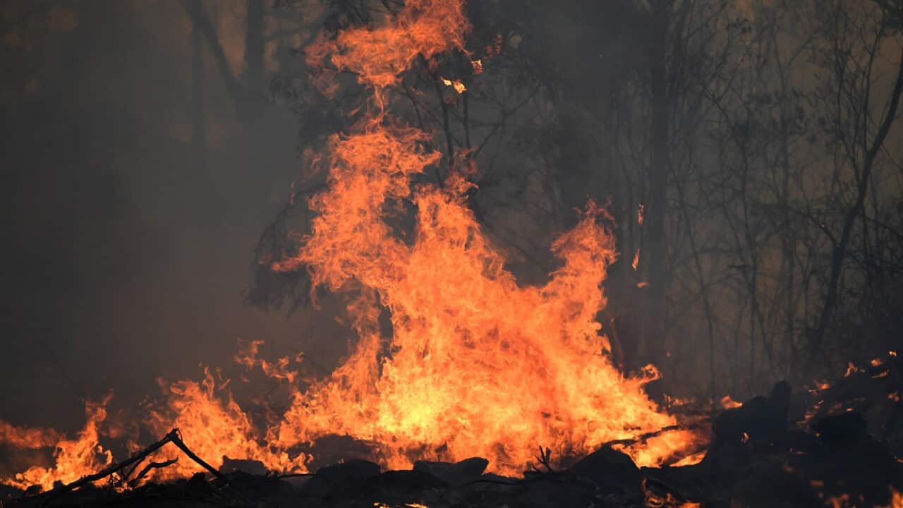 A bushfires burns around a property in Torrington, near Glen Innes, Sunday, November 10, 2019. There are more than 80 fires burning around the state, with about half of those uncontained. (AAP Image/Dan Peled) NO ARCHIVING